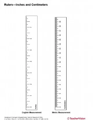 Rulers Inches and Centimeters TeacherVision